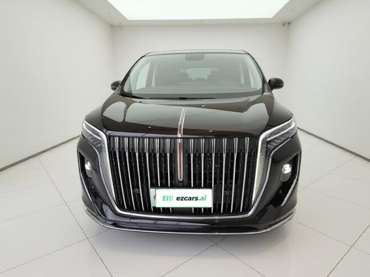 HQ9 PHEV 2024 2.0T AWD Business photo 2