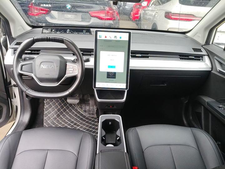 Neta V 2022 300 Lite LFP photo 5