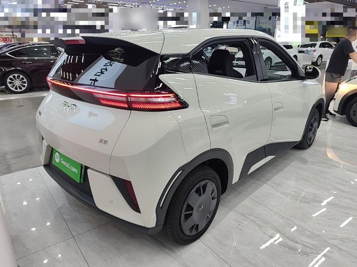Seagull 2025 ADAS 305km photo 4