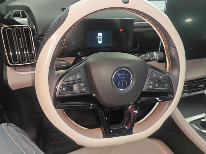 Song Pro EV 2024 Honor DM-i 71KM Pilot photo 5