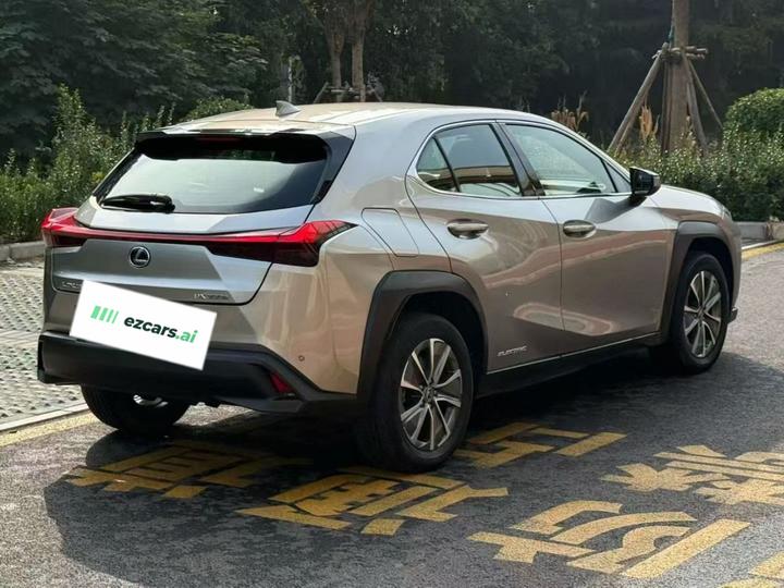 UX EV 2020 300e photo 6