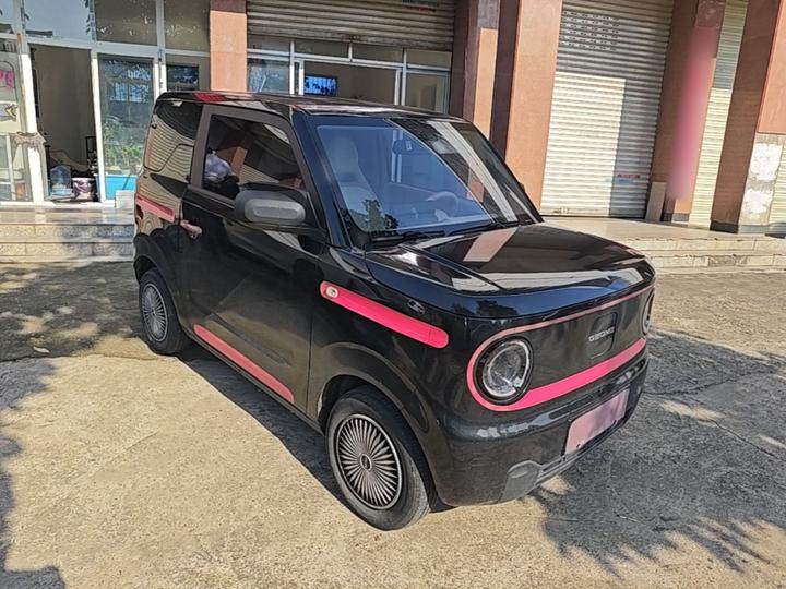 2023 Panda mini 200km Endurance Bear photo 3
