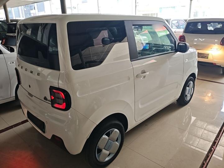 2023 Panda mini 200km Endurance Bear photo 4