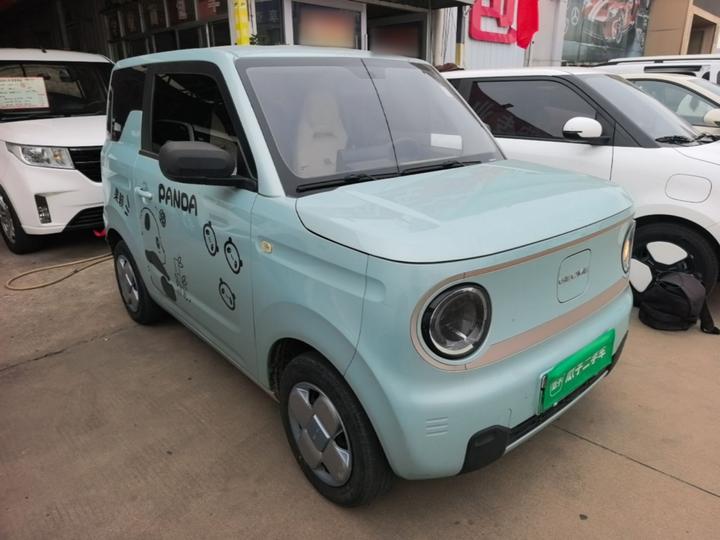2023 Panda mini 200km Endurance Bear photo 3