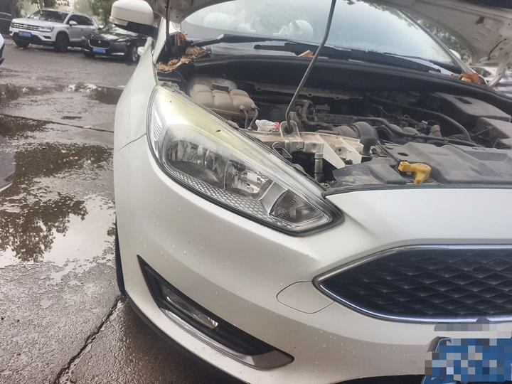 Focus 2015 Hatchback 1.6L MT photo 7