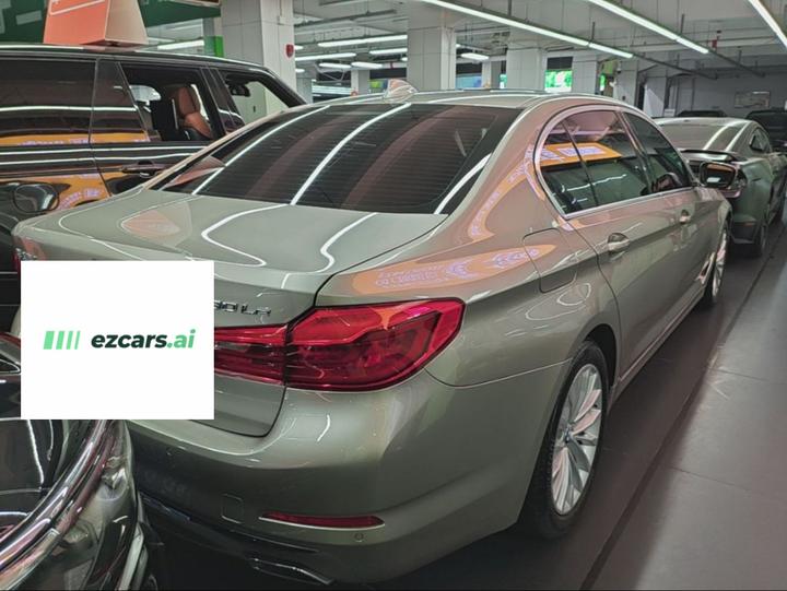 5 Series EV 2020 530Le Luxury photo 6