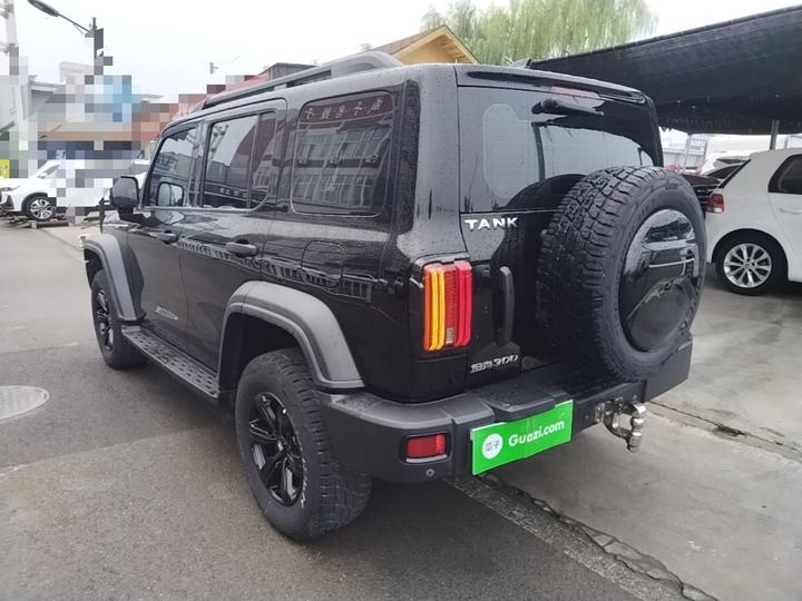300 2021 Off-road 2.0T Conqueror photo 4