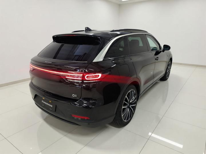 Leapmotor C11 2021 Luxury photo 4