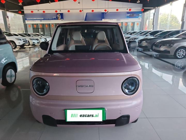 2024 Panda mini 200km Endurance Bear photo 2