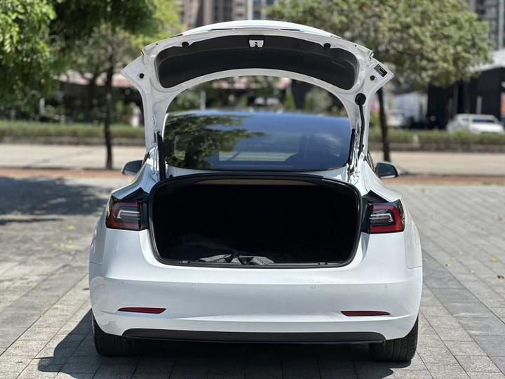 Model 3 2021 Standard Range RWD Upgraded 3D6 photo 8