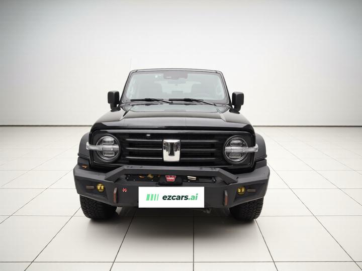 300 2021 Off-road 2.0T Conqueror photo 2