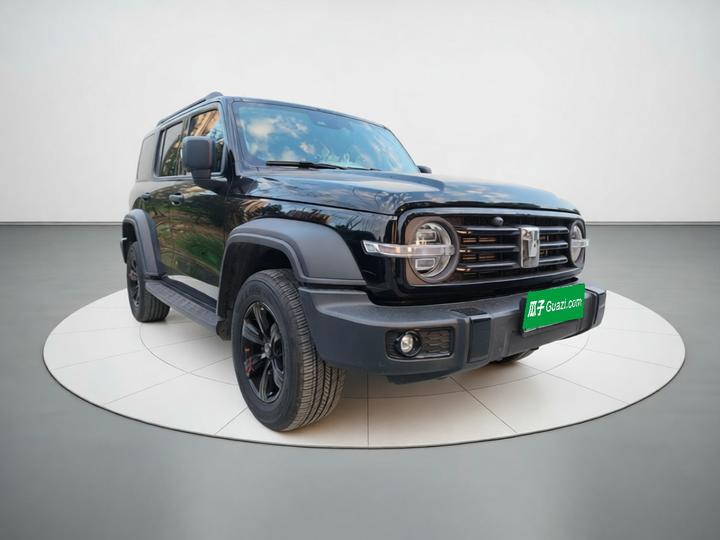 300 2024 2.0T Conqueror photo 3