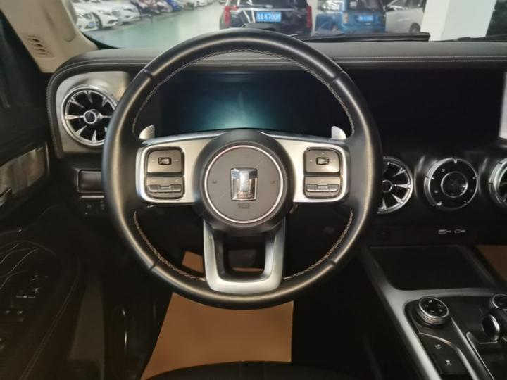 300 2021 Off-road 2.0T Conqueror photo 6