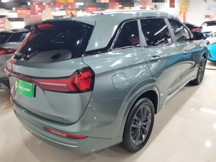 Bluelectric E5 2023 1.5L DE-i 100KM 7-Seater photo 6