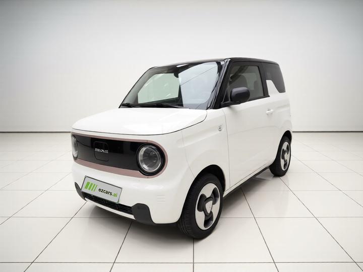 2023 Panda mini
