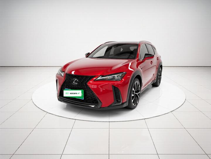 UX 2020 260h photo 2