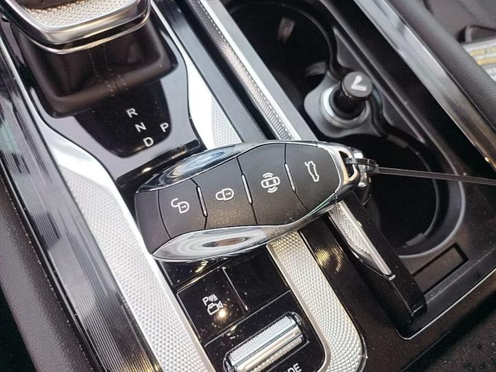 H5 PHEV 2025 130 photo 8