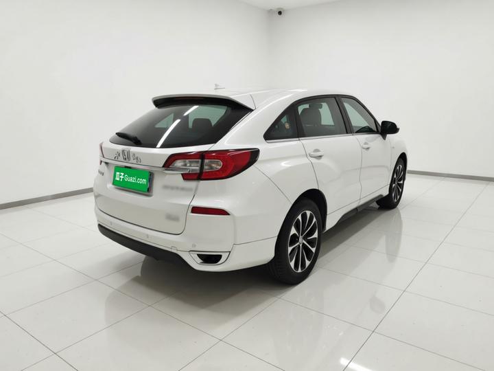 Avancier 2019 240TURBO RWD Elite photo 6