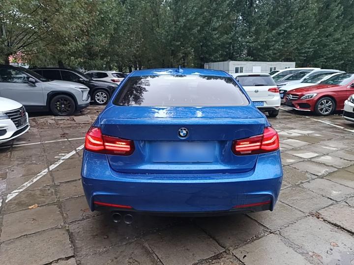 3 Series 2019 320Li M Sport photo 3
