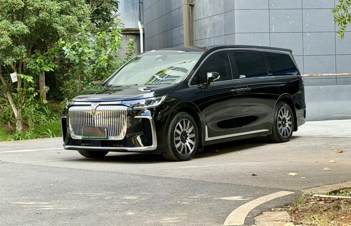 Voyah Dreamer 2025 EV AWD Excellence