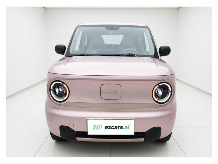 2024 Panda mini 200km Endurance Bear photo 2