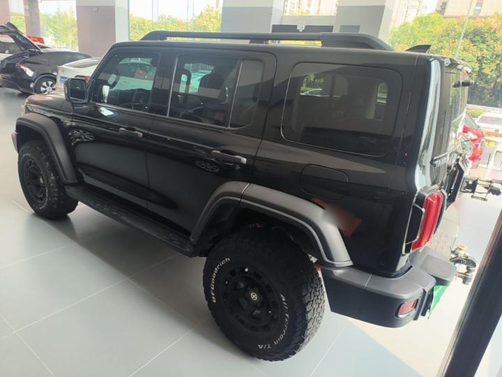 300 2021 Off-road 2.0T Conqueror photo 4