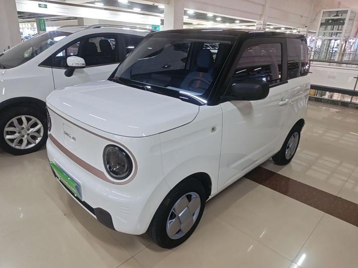 2024 Panda mini 200km PRO