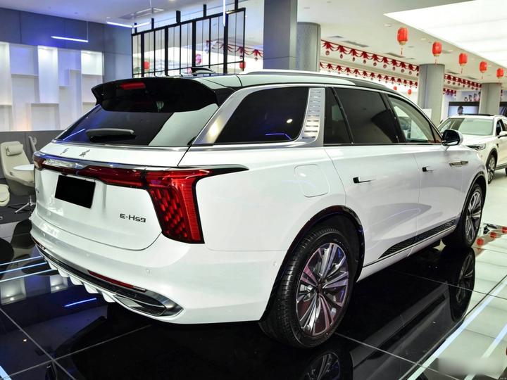 E-HS9 2025 660km 4-Seater photo 6