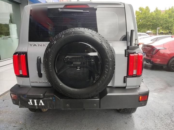 300 2021 Off-road 2.0T Conqueror photo 3