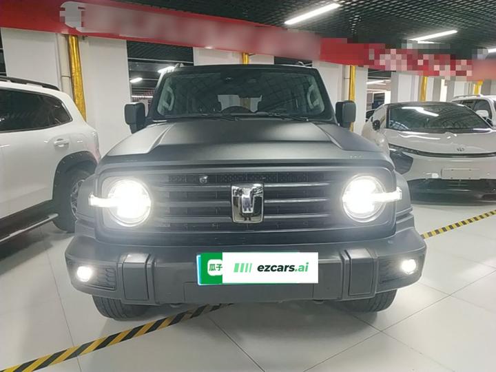 300 2024 2.0T Conqueror photo 2