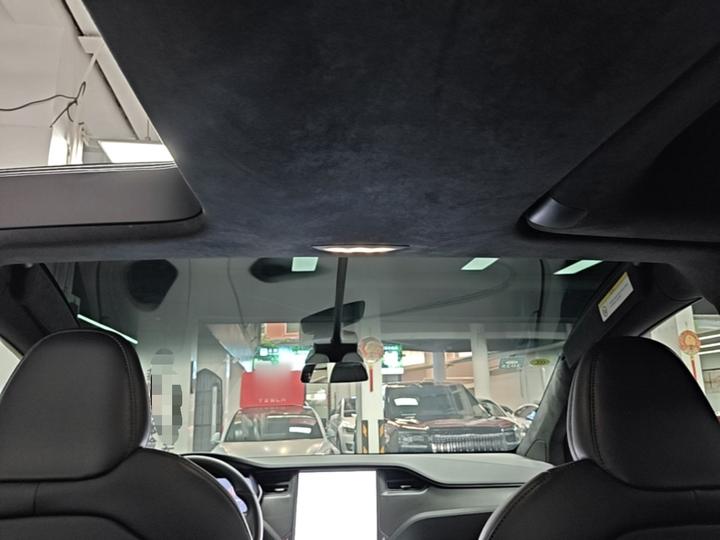 Model X 2020 Performance Performance photo 7