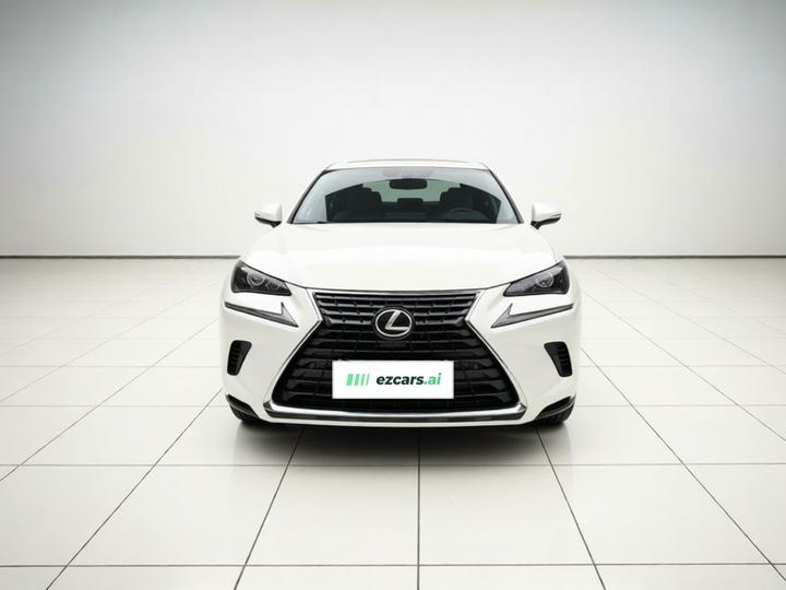 NX 2018 300 FWD photo 2