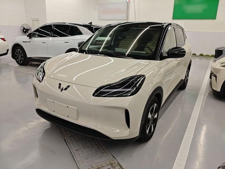 Wuling Bingo PLUS 2024 330km 5-Seater