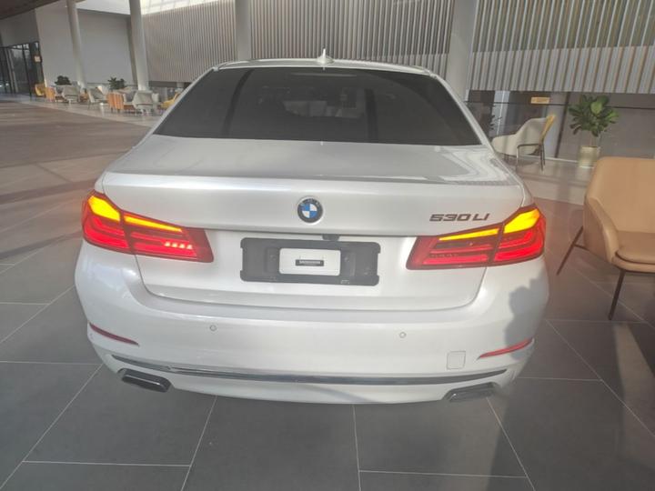 5 Series 2019 530Li Leading Luxury photo 3