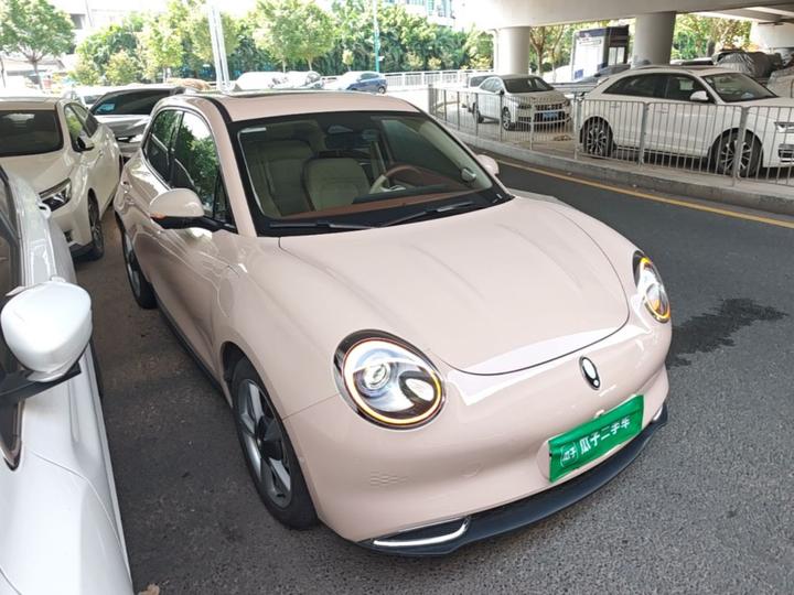 Good Cat 2021 400km Standard Range LFP photo 3