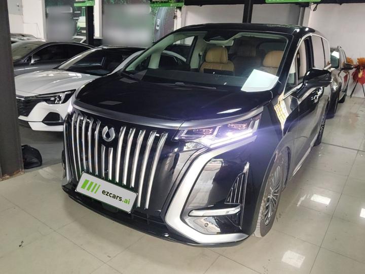 D9 2024 EV 600 AWD Premium