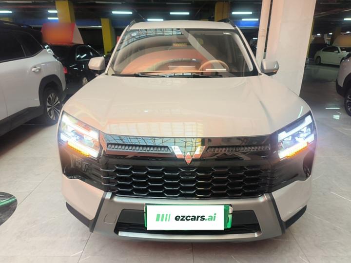 560 EV 2026 125km Luxury photo 2