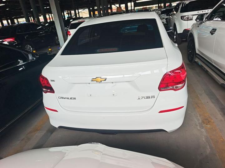 Cavalier 2018 320 AT photo 3