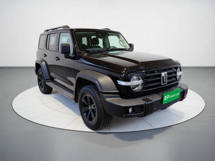 300 2021 Off-road 2.0T photo 3