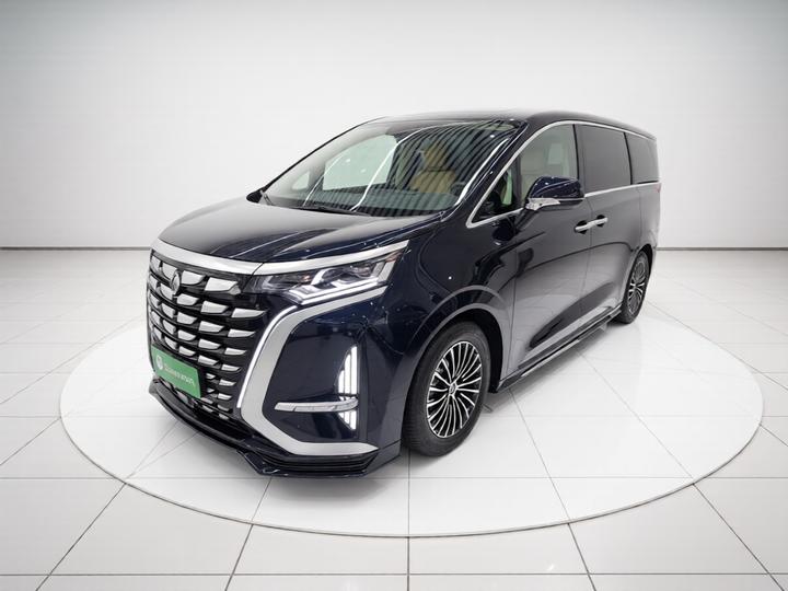 D9 2024 DM-i 980 AWD Noble