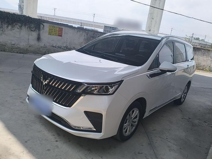 Wuling 2022 1.5T MT