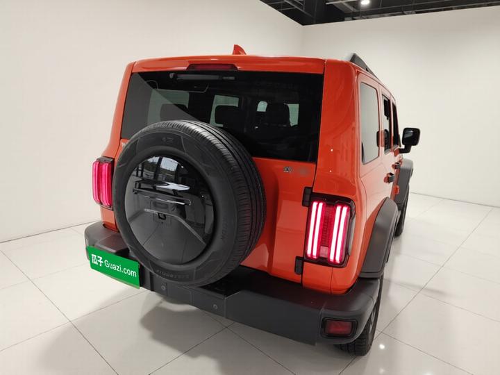 300 2021 Off-road 2.0T Conqueror photo 6