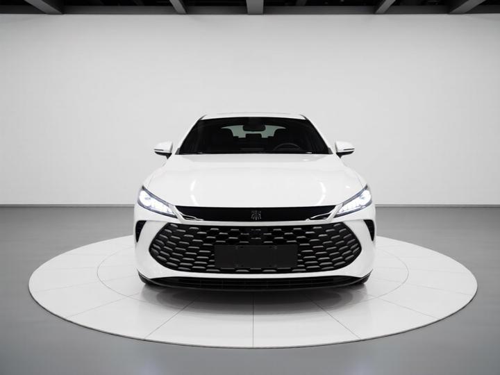 Qin PLUS 2025 DM-i ADAS 55KM Leading photo 2