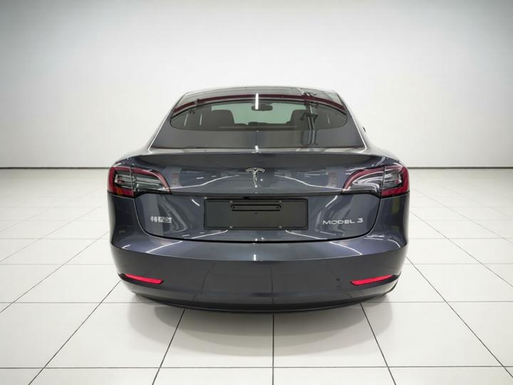 Model 3 2021 Facelift Standard Range RWD Upgraded 3D1 photo 5