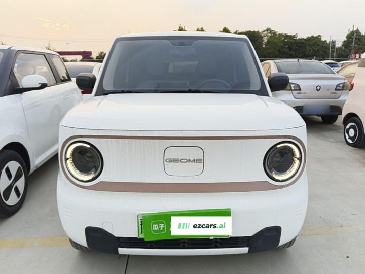 2024 Panda mini 200km Endurance Bear photo 2