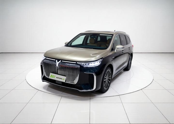 Voyah Dreamer 2025 PHEV AWD Excellence