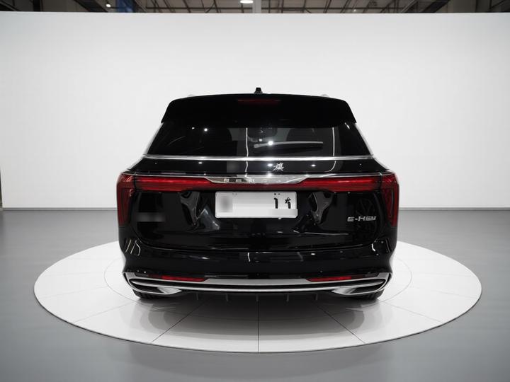 E-HS9 2021 460km 6-Seater photo 3