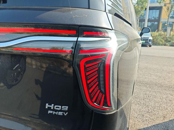 HQ9 PHEV 2024 2.0T AWD Business photo 7