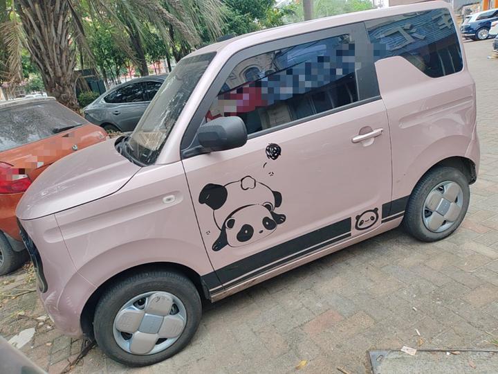 2024 Panda mini 200km Endurance Bear