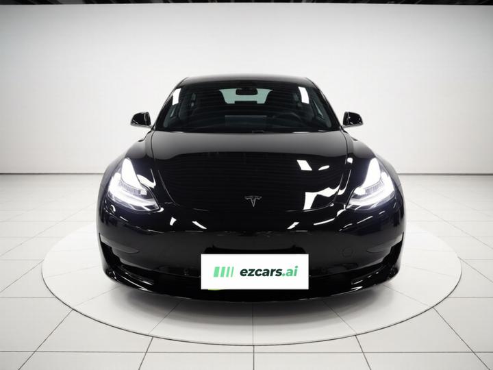 Model 3 Imported 2019 Performance AWD photo 2